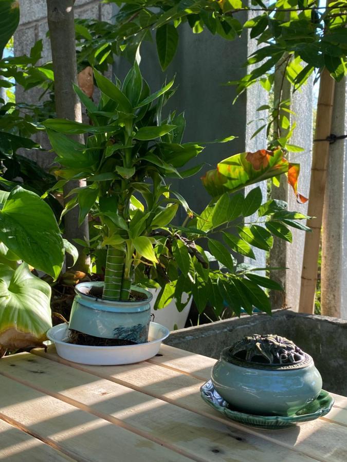 Laoxao Homestay Hoi An Esterno foto