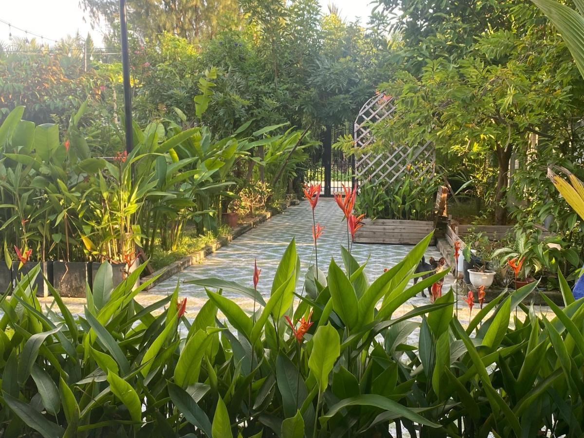 Laoxao Homestay Hoi An Esterno foto