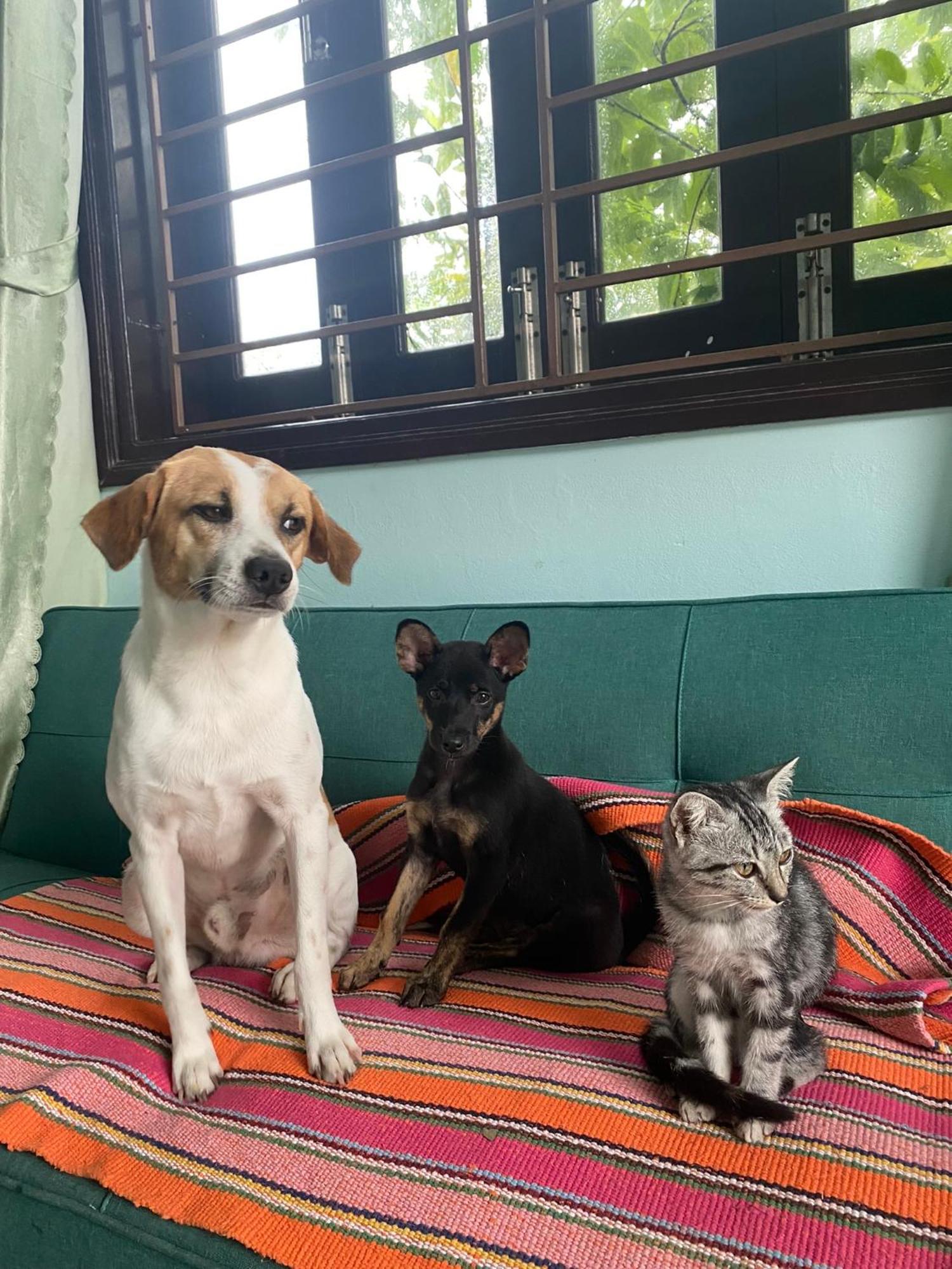 Laoxao Homestay Hoi An Esterno foto