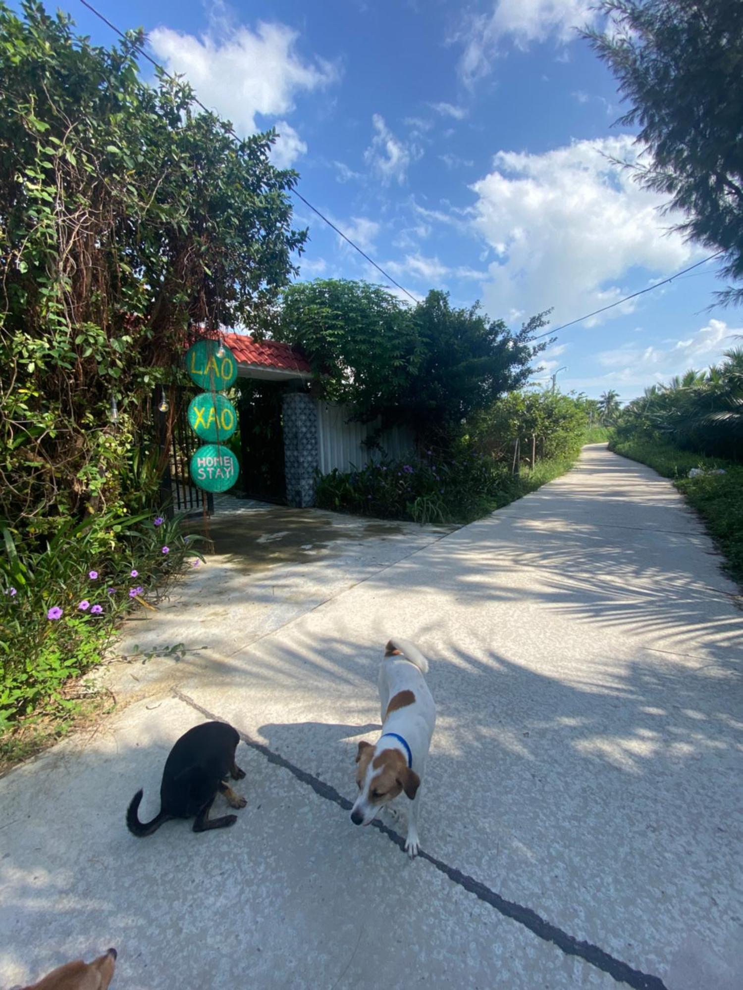 Laoxao Homestay Hoi An Esterno foto